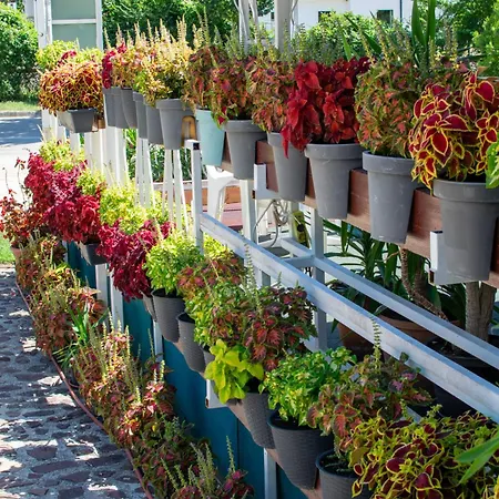 Arpi-ria Ueduelohaz Проживание в семье Балатонфюред