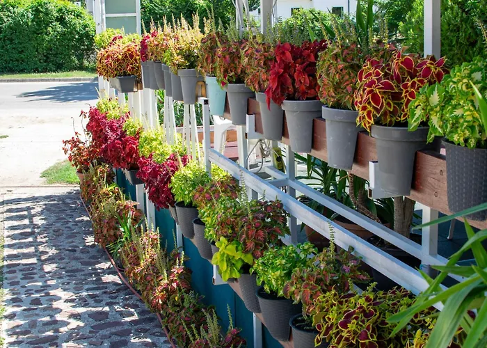 Arpi-ria Ueduelohaz Проживание в семье Балатонфюред