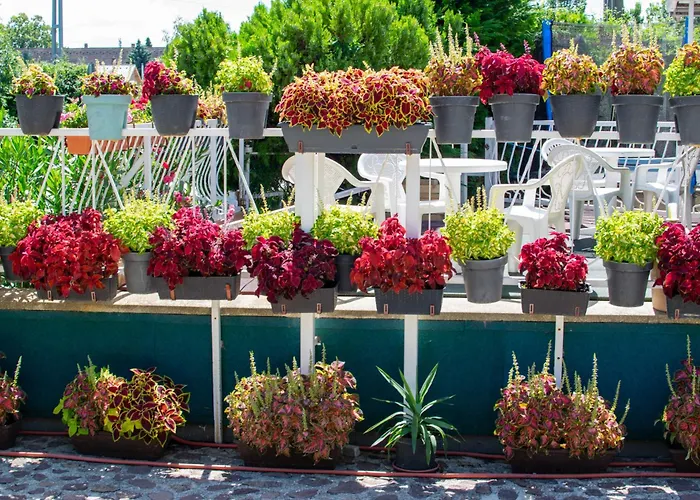 منزل للإقامة Arpi-ria Ueduelohaz بالاتونفوريد