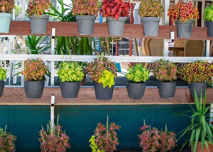 Arpi-ria Ueduelohaz *