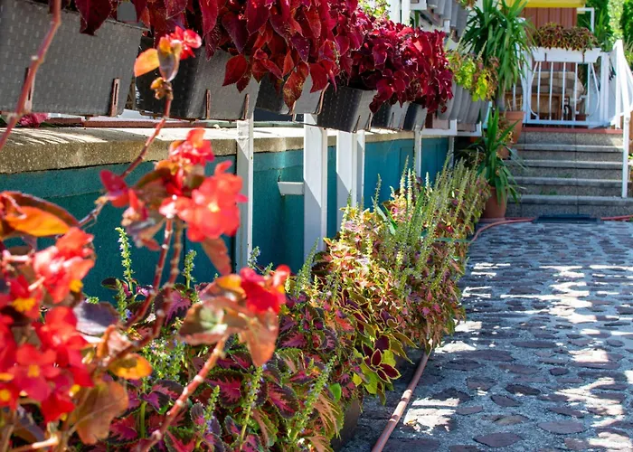 Проживание в семье Arpi-ria Ueduelohaz *